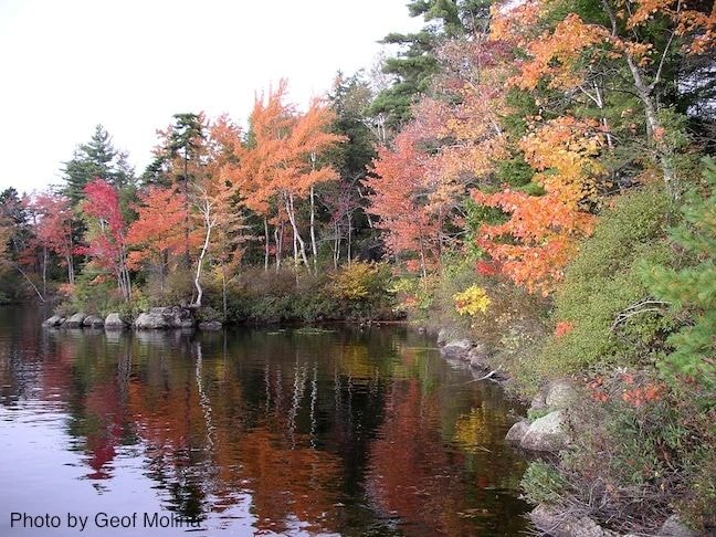 Island Pond scene